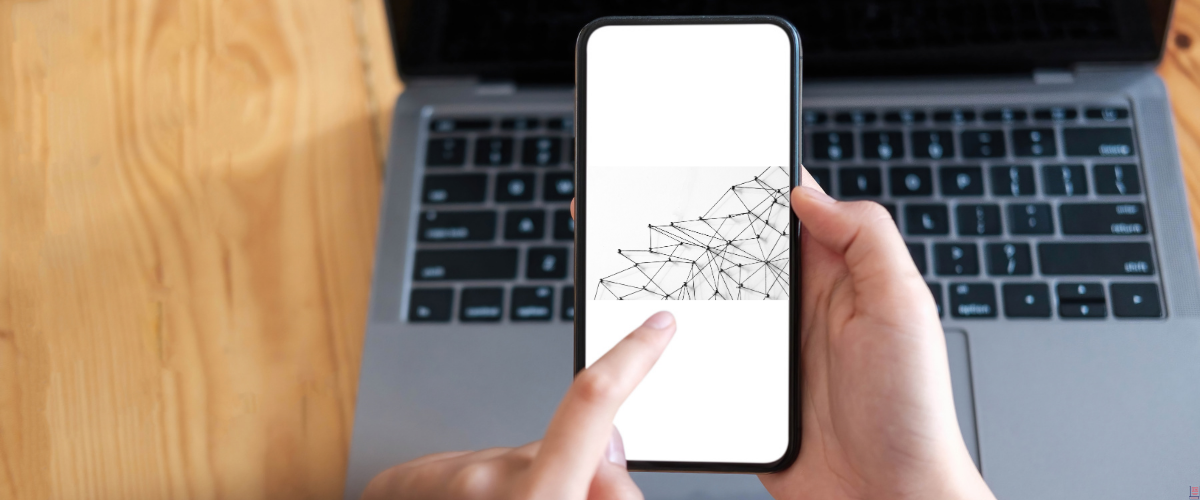 LinkedIn ve Online Ağları Üniversite Öğrencileri Nasıl Kullanmalı